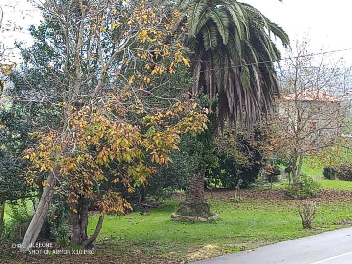 Casa Chisco Διαμέρισμα Cudillero Εξωτερικό φωτογραφία