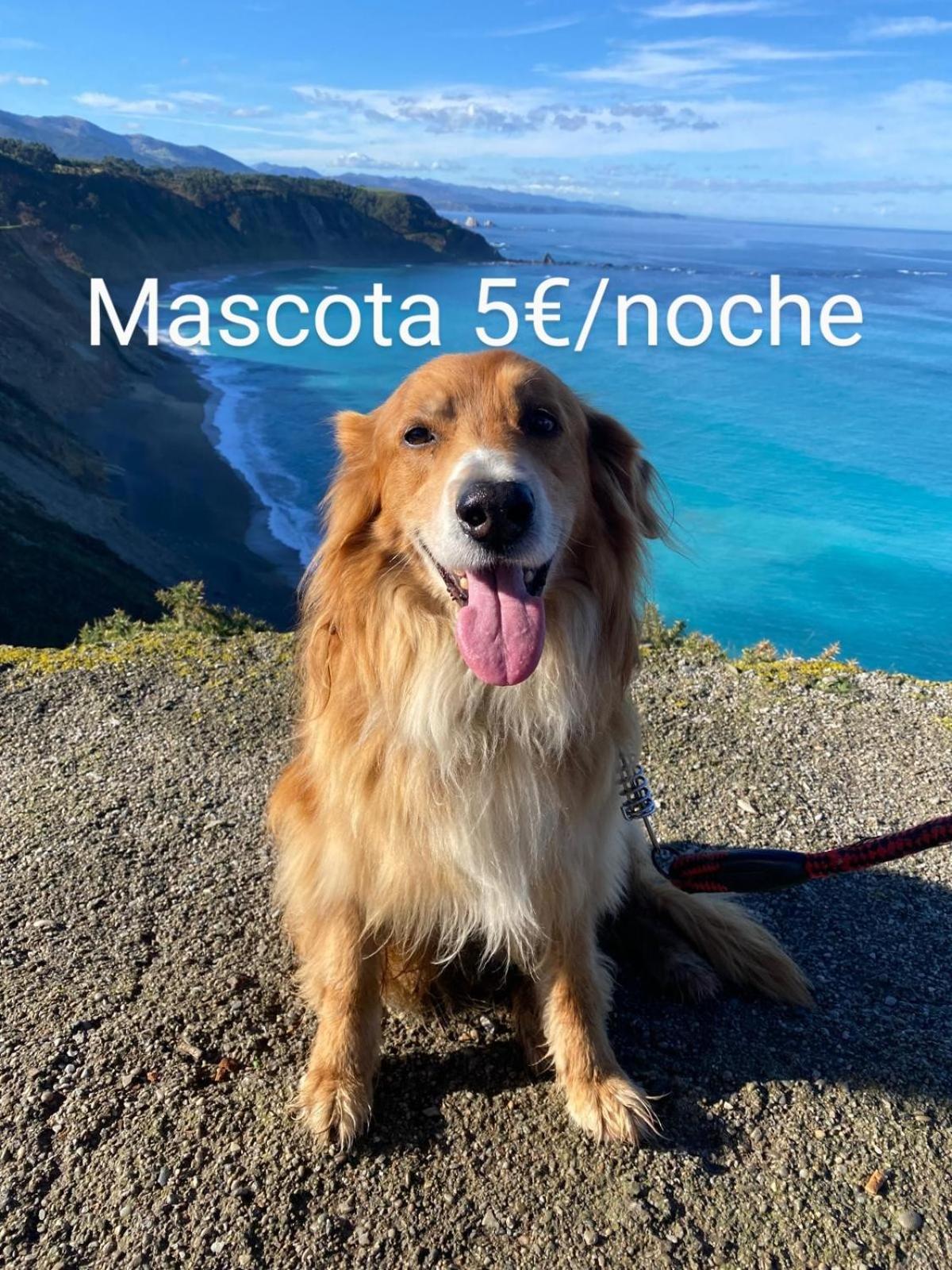 Casa Chisco Διαμέρισμα Cudillero Εξωτερικό φωτογραφία